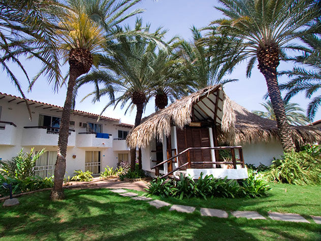 Ld Palm Beach Hotel Playa El Agua Dış mekan fotoğraf